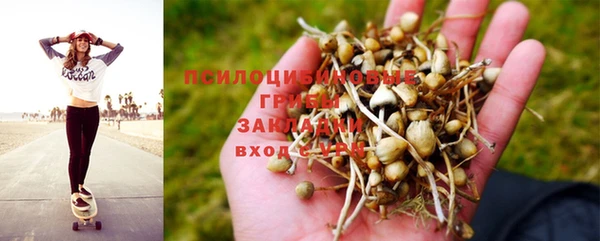 стаф Протвино