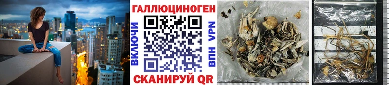 купить наркоту  Новочеркасск  Галлюциногенные грибы ЛСД 