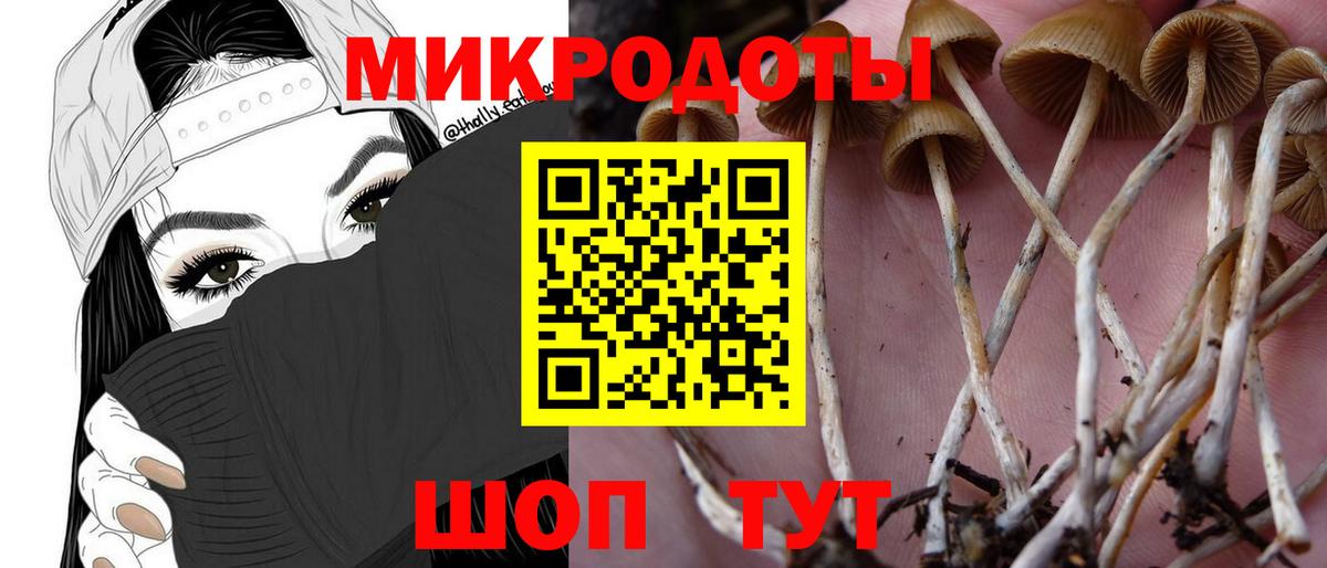 Галлюциногенные грибы Magic Shrooms Новочеркасск